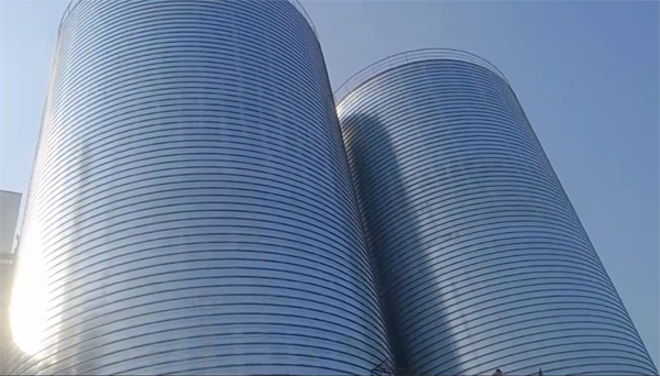 肥东2座混凝土高架卷板仓